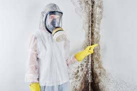 Best Asbestos and Lead Testing During Mold Inspection  in Holly Springs, GA